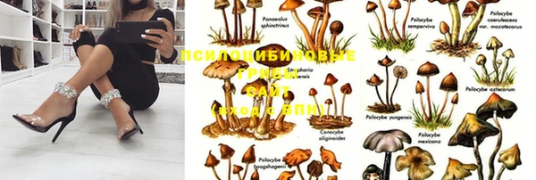 кокаин перу Белокуриха